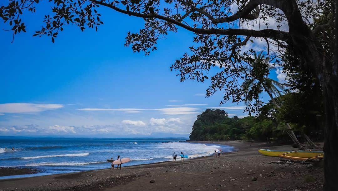 ニッキ・バン ダイクさんのインスタグラム写真 - (ニッキ・バン ダイクInstagram)「COSTA RICA RETREAT 2024💞 Come and join me May18-25, 2024 in Costa Rica for a week of pure bliss. A fusion of Surfing, Yoga, Health practices and timeless holistic rituals, incredible food and friends. I am so thrilled to be hosting this retreat and cannot wait to be a part of such an exciting week of fun planned 🩵 @surfsynergy link in my bio for all the info hope to see you there 😘🤸🏼‍♂️🌎🏄🏼‍♀️🌺🌿🌞🧘🏼‍♂️」10月18日 4時50分 - nikkivandijk