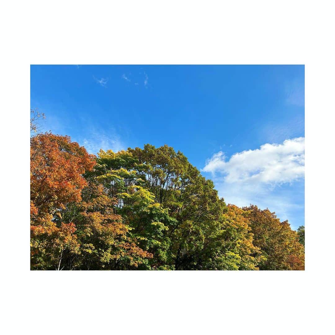 三倉茉奈さんのインスタグラム写真 - (三倉茉奈Instagram)「秋 紅葉が綺麗 #autumn」10月18日 14時32分 - mana_mikura_official