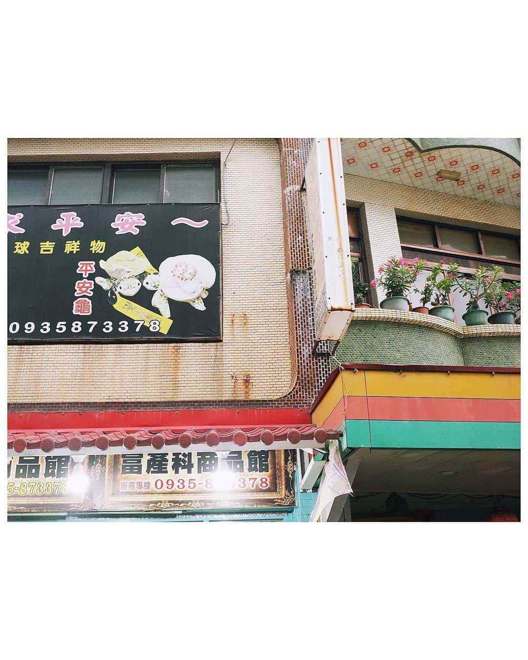 永原真夏さんのインスタグラム写真 - (永原真夏Instagram)「海亀の島🐢🪸🫧」10月18日 15時12分 - suika1ban