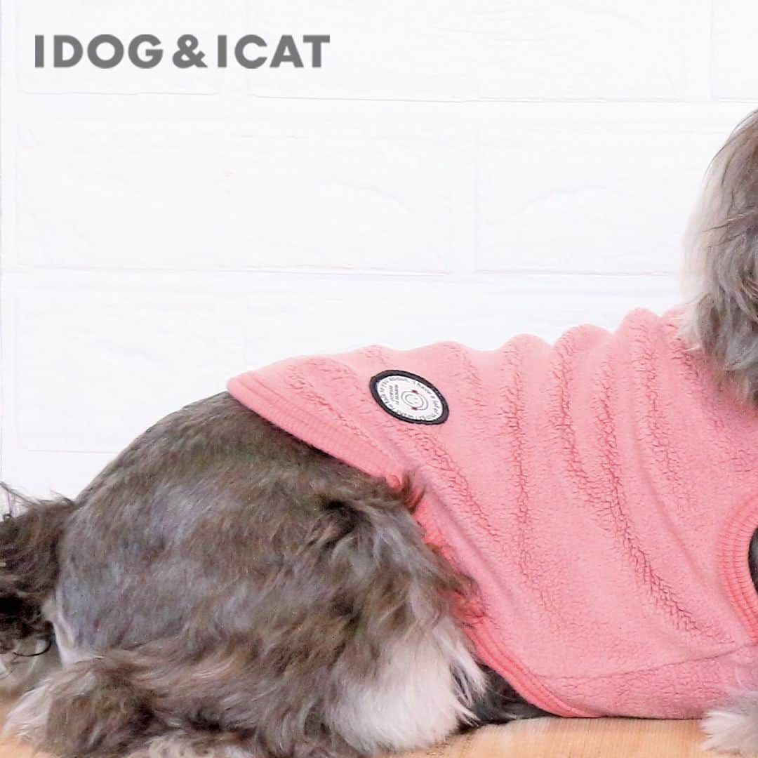 iDog&iCatのインスタグラム