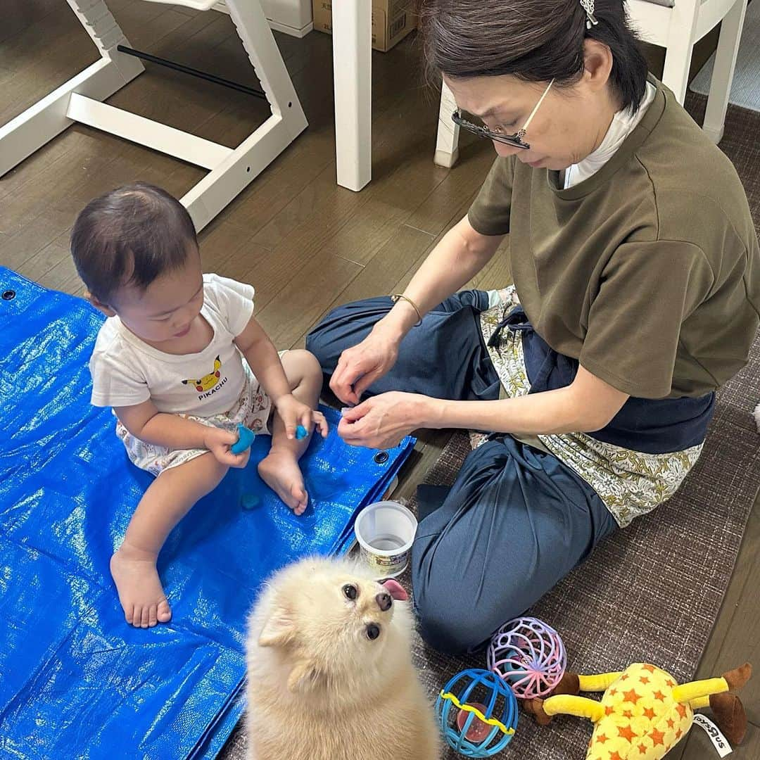 やしろ優さんのインスタグラム写真 - (やしろ優Instagram)「こはなちゃん💕  やさ丸くんとグランマが遊んでいると一緒になって輪に入ってたり笑笑😊  かわいいね❤️  #こはな #ポメラニアン #5歳」10月18日 15時23分 - yashiroyuuuu