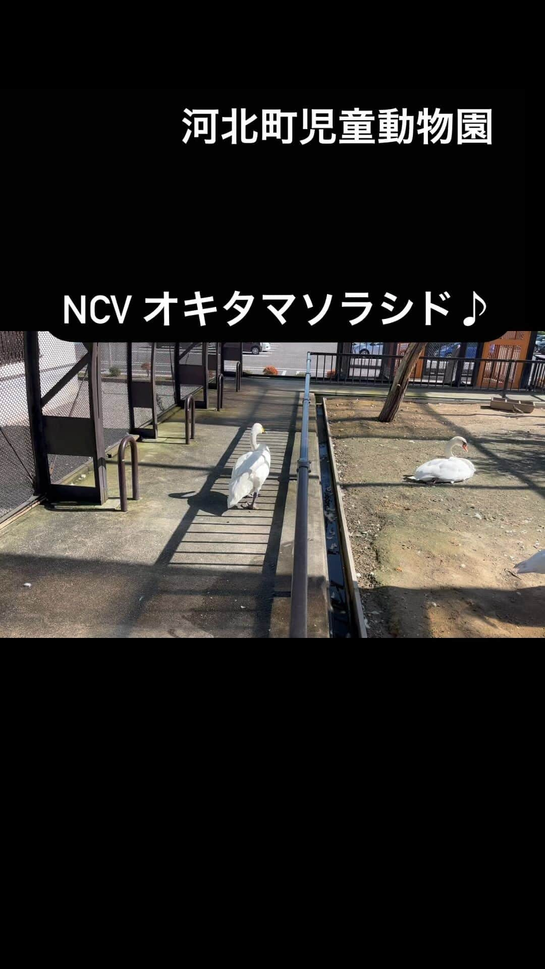 本坊元児のインスタグラム：「NCV オキタマソラシド♪ は河北町に出張しました #NCV #オキタマソラシド」