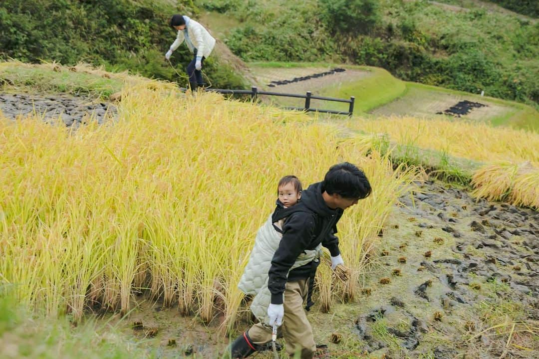 福田瞳さんのインスタグラム写真 - (福田瞳Instagram)「#稲刈り 頑張った〜☺︎ 日が暮れるまでみんなでせっせと☺︎ 稲刈りが大変というより、田んぼに足がはまってバランス崩したり思うように歩けないことが大変でした!!  special thanks☺︎ @sanazawa_terrace」10月18日 7時19分 - fukudahitomi610