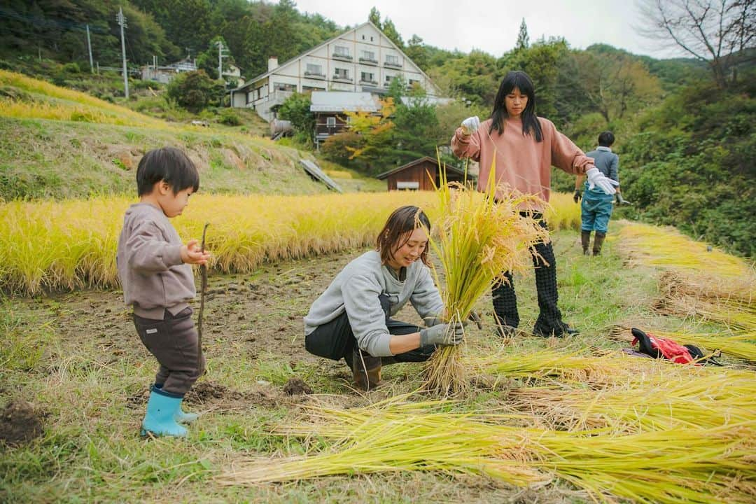 福田瞳さんのインスタグラム写真 - (福田瞳Instagram)「#稲刈り 頑張った〜☺︎ 日が暮れるまでみんなでせっせと☺︎ 稲刈りが大変というより、田んぼに足がはまってバランス崩したり思うように歩けないことが大変でした!!  special thanks☺︎ @sanazawa_terrace」10月18日 7時19分 - fukudahitomi610