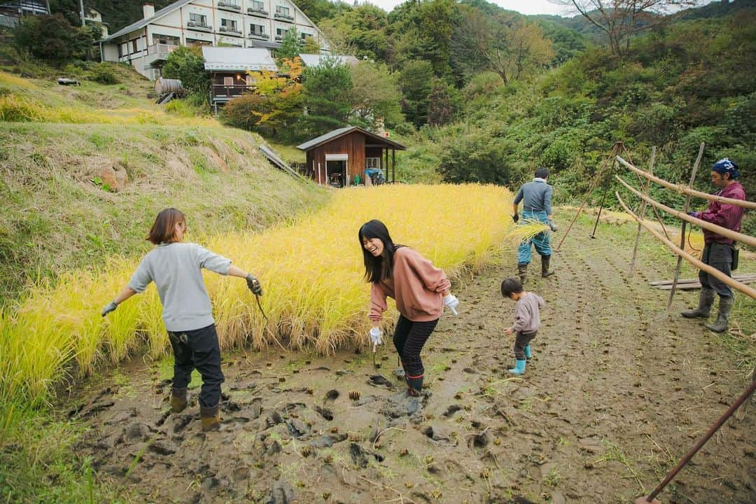 福田瞳さんのインスタグラム写真 - (福田瞳Instagram)「#稲刈り 頑張った〜☺︎ 日が暮れるまでみんなでせっせと☺︎ 稲刈りが大変というより、田んぼに足がはまってバランス崩したり思うように歩けないことが大変でした!!  special thanks☺︎ @sanazawa_terrace」10月18日 7時19分 - fukudahitomi610