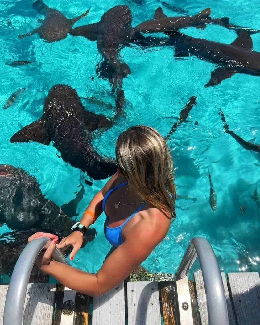 フリースタイルのインスタグラム