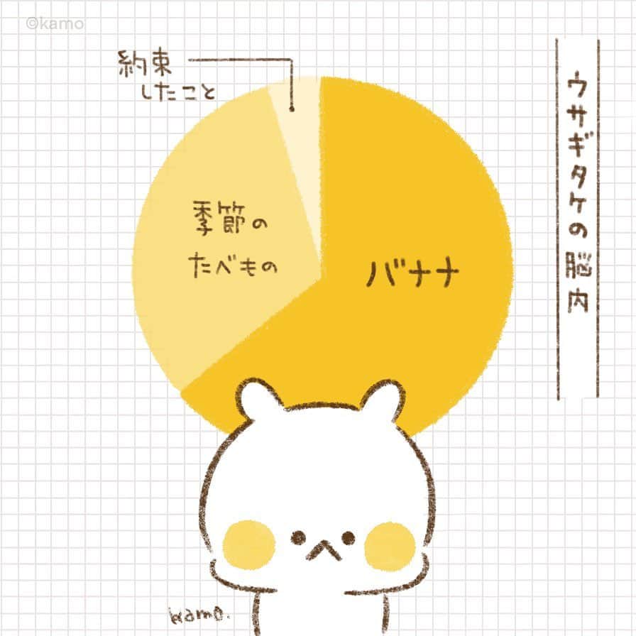 カモのインスタグラム