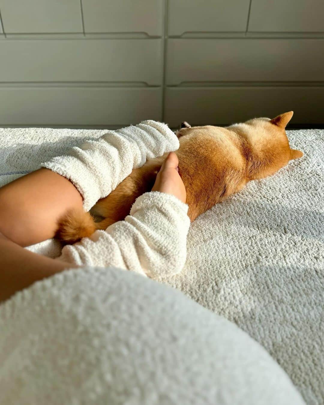 のインスタグラム：「Gm🫶🏽  朝起きたら、ぬくぬくポカポカで 幸せだった〜☀️ とらくんも足を温めてくれてた🤍笑  私とらに夜な夜なずっと足のせてたのかな🤣 ごめん〜🥹🥹🥹笑  必要なところだけレッグウォーマーで温めて 臨月でもすっぽりお腹をカバーして不快感もゼロ。 トップスはスリットが深めで授乳もしやすく 妊婦さんも、産後も、もちろんそうでない皆様も使える 温活ルームウェア💫  私が温活を意識し出したきっかけは1人目の産後から。 それまでは意識したことすらなかった…（笑） 高校生の時とかミニスカで雨の中でも自転車余裕だったのが 信じられないし、 女の子は温めなさい!って何？って感じだった。  だけど意識して温めるようになってから 明らかに体の調子が違う🔥 母になって、自分は体調を崩してる暇なんてない！と 日頃から免疫を作りを心掛けてるようになり 特に”冷やさない”ことを意識してる！  そして今から心がけておくと 更年期になった時にも良い事だらけみたいです。 もっと自分の体のこと勉強する💫」