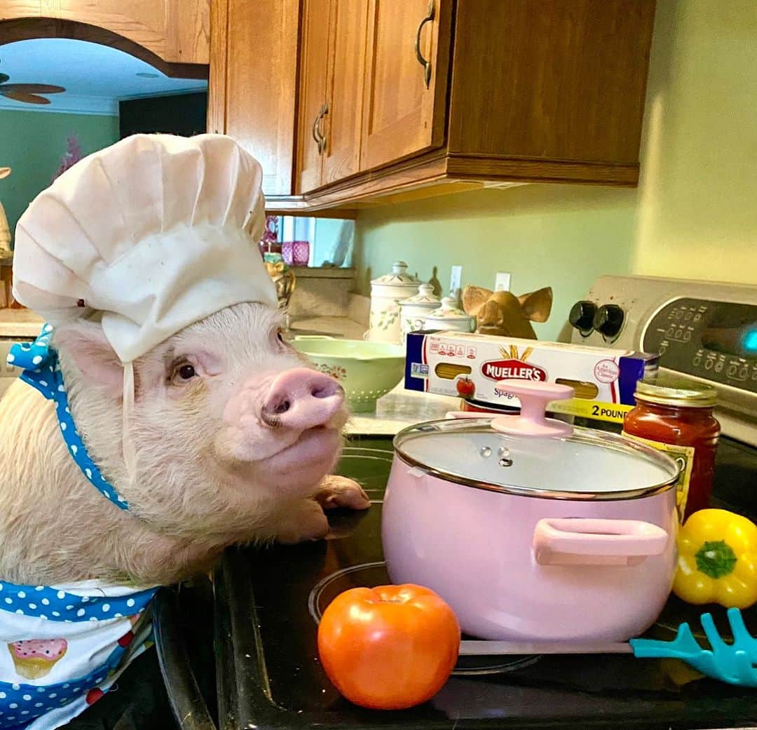 のインスタグラム：「I’m feeling a little saucy today! Happy #NationalPastaDay! I’m making a veggie primavera.🐷🍝 #chefprissy #veggieprimavera #PrissyandPop」