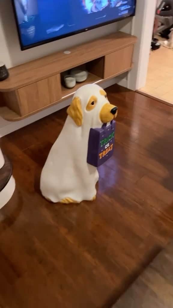 BarkBoxのインスタグラム：「He just wants to be an only child 😭😆  📸: @aarmezzani」