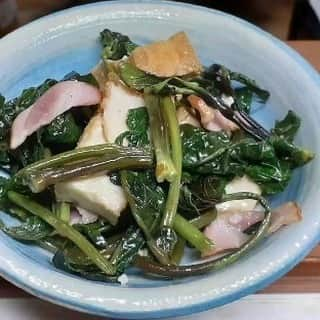 ハンディやしきのインスタグラム：「#毎日野菜生活  空真菜と厚揚げ、ベーコン味噌炒め🎶  味噌、砂糖、醤油少々で味付けして完成🎶  ベーコンから旨みが出て、厚揚げの柔らか食感と空芯菜のシャキシャキ食感がいいね！味噌味とよく絡んでご飯進むわぁ～👍️  #空真菜 #味噌炒め #厚揚げレシピ #秋の味覚 #野菜レシピ #加賀野菜 #朝ごぱん #ベジスタグラム #家庭菜園 #breakfast #もったいないを忘れない #朝ごはんシリーズ #ディナー #おうちご飯 #クッキングラム #野菜生活  #旬を味わう #金沢グルメ #田舎暮らし #自給自足 #山菜 #朝採り野菜 #stiilgood  #規格外野菜 #フードロス  #sdgs  #breakfast  #栄養まるごとプロジェクト #foodphotography  「Stillgood！」お求めはこちらから 　　　　↓ https://still-goo」