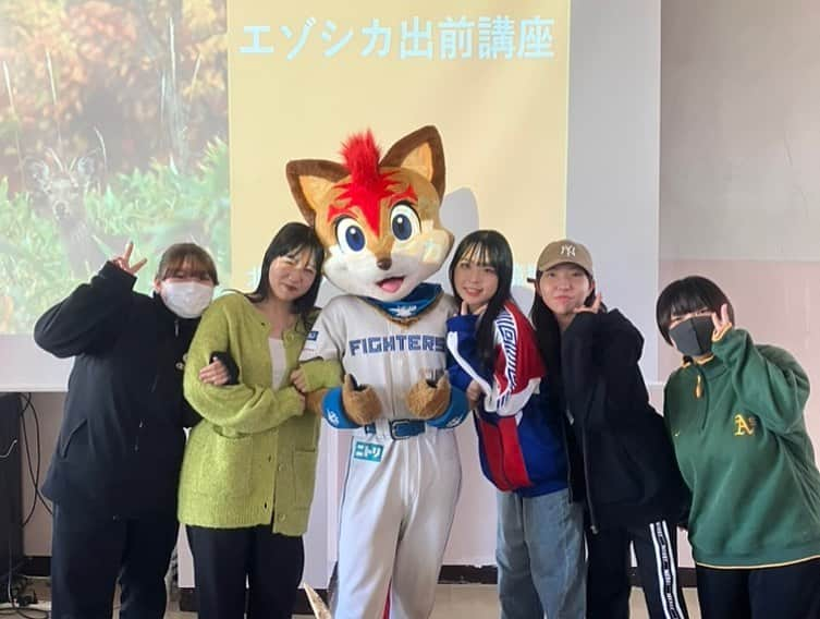 北海道日本ハムファイターズ フレップさんのインスタグラム写真 - (北海道日本ハムファイターズ フレップInstagram)「． 【フレップと一緒に学ぶエゾシカ出前講座】  おはようございます🦊  北海道は冷え込んできていよいよ秋も深まってきたね🍂  オレはこないだ釧路短期大学の生徒さんとエゾシカについて学んできたよ🧑‍🎓📖🦌  北海道の環境や生き物についてオレたちマスコットがみんなと一緒に考えていく「EZOlogical」の活動も今年で3年目。  これからも沢山のお友達とふれ合いながら、北海道の未来をより良くするために色々な課題を一緒に知り、出来ることを取り組んでいきたいな☺️  #エゾロジカル #エゾシカ #エゾシカ出前授業 #北海道環境生活部自然環境局野生動物対策課  #北海道日本ハムファイターズ #lovefighters #新時代 #fansareourtresure #フレップ」10月18日 9時15分 - frep_the_fox