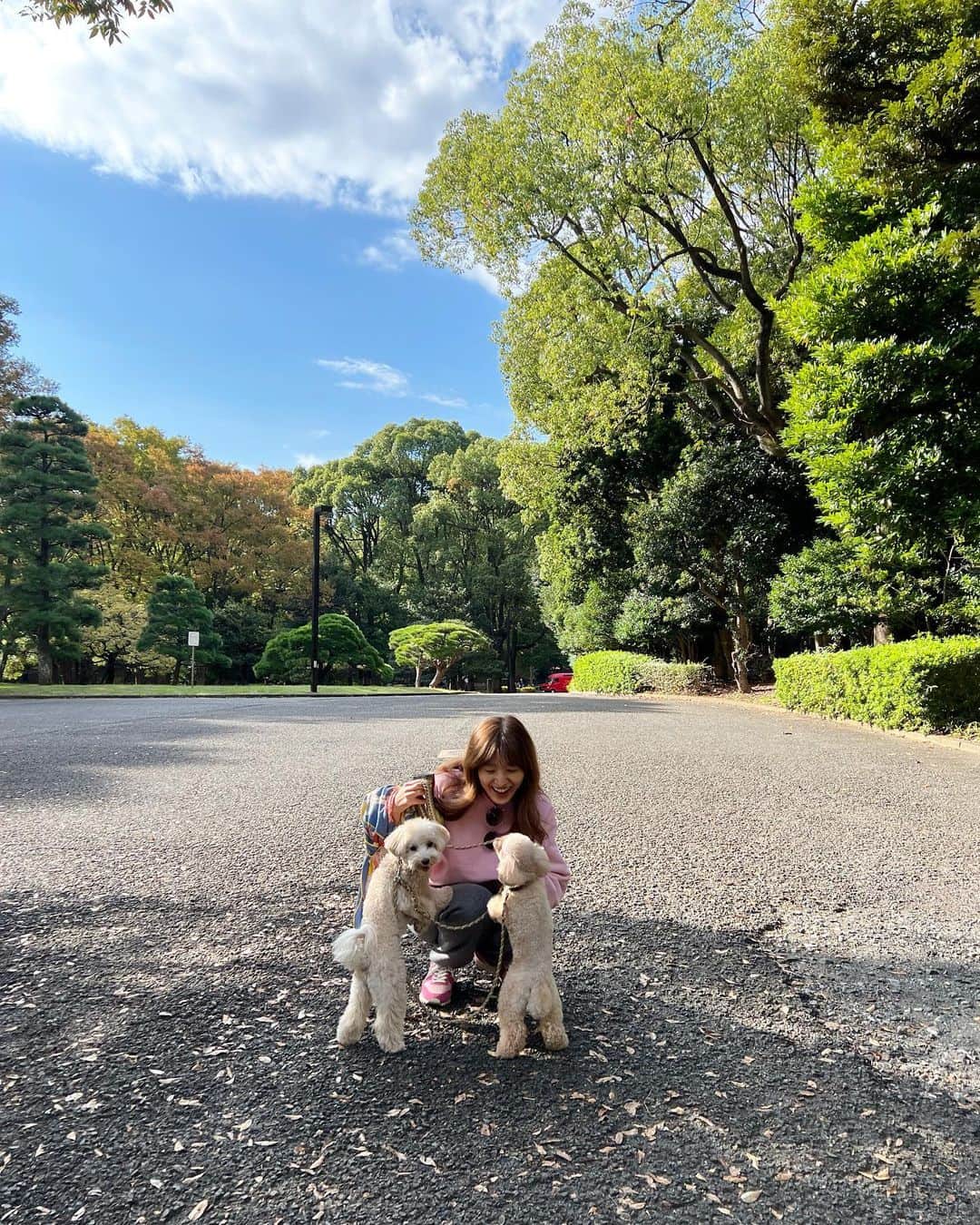 廣瀬規子さんのインスタグラム写真 - (廣瀬規子Instagram)「娘をバス停まで送って、、、🐶🐶お散歩、、、  秋晴れで空気が澄んでて気持ちがいい🥹  やっぱり、外に出て、自然を感じることって大切だなぁ、、って。  #dogsofinstagram #ワンコ #トイプードル #マルプー #多頭飼い #お散歩」10月18日 10時11分 - noriko_style