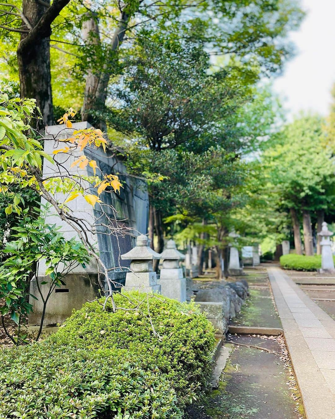 石浦宏明さんのインスタグラム写真 - (石浦宏明Instagram)「今日は午前中休みだったので妻とカフェに寄りながら豪徳寺まで散歩したら外国人観光客の方がたくさん招き猫を見に来てました😽」10月18日 11時50分 - hiroakiishiura