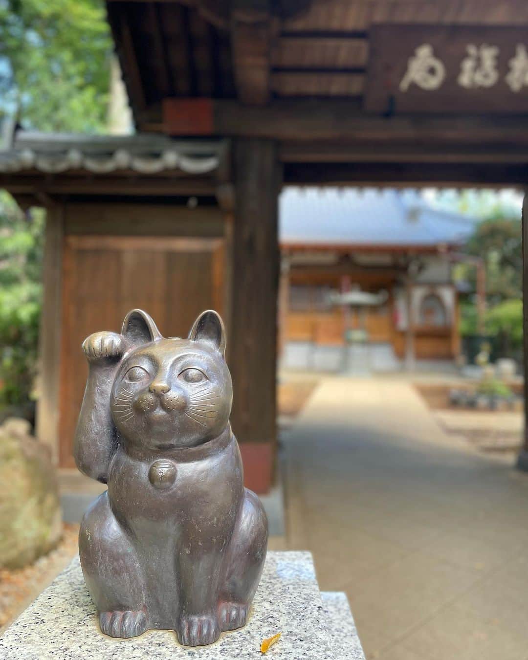 石浦宏明さんのインスタグラム写真 - (石浦宏明Instagram)「今日は午前中休みだったので妻とカフェに寄りながら豪徳寺まで散歩したら外国人観光客の方がたくさん招き猫を見に来てました😽」10月18日 11時50分 - hiroakiishiura