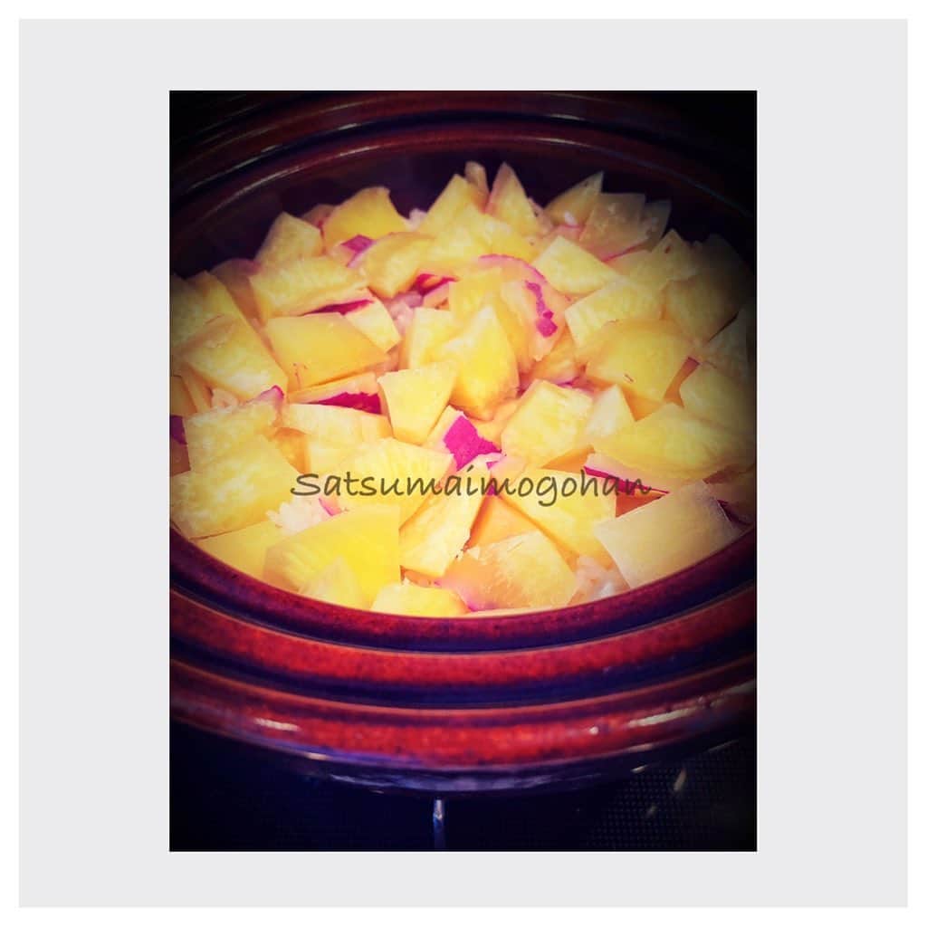 吉瀬美智子さんのインスタグラム写真 - (吉瀬美智子Instagram)「先日の鎌倉ロケで収穫🍠 さつまいもを土鍋で炊き、塩昆布を入れて、ごまかけて完成！おこげが絶妙に美味しい😋豚汁と一緒に✨」10月18日 12時12分 - michikokichise