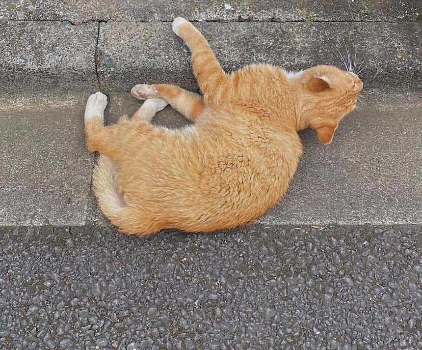後藤しおりのインスタグラム