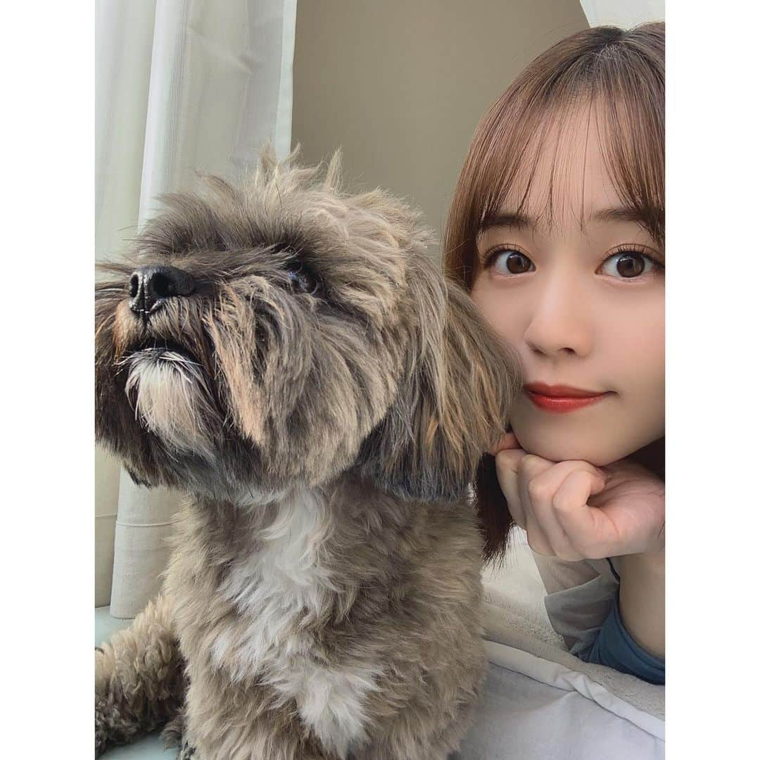 日岡なつみさんのインスタグラム写真 - (日岡なつみInstagram)「しゅみの日向ぼっこに混ぜてもらった🐶☀️」10月18日 13時32分 - hiokanatsumi