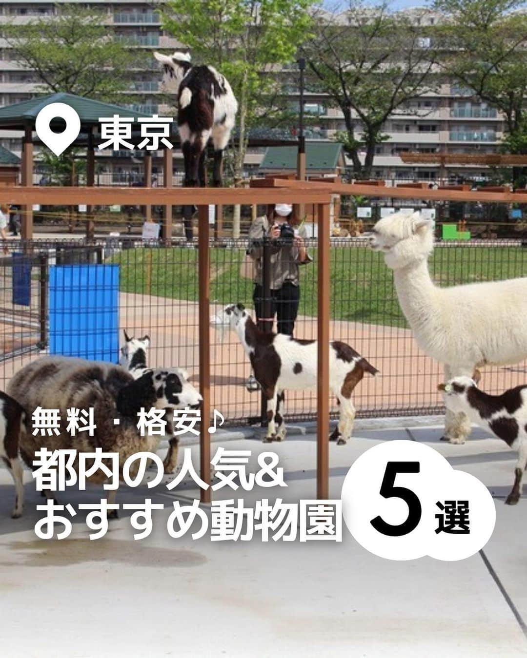 iko-yo（いこーよオフィシャル）のインスタグラム：「今回ピックアップしたのは「動物とふれあう！都内の人気&おすすめ動物園5選」 @ikoyo_odekakeに他の投稿も！ ーーーーーーーーーーーーーーーーーー 📍 台東区上野公園 【恩賜上野動物園】 #上野動物園 @ueno_zoo_official 営業時間9:30〜17:00 入園料：大人（高校生以上）600円、中学生200円（都内在住・在学の中学生無料。要生徒手帳）、小学生以下無料、65歳以上300円  📍 武蔵野市御殿山 【井の頭自然公園】 #井の頭自然公園 営業時間9:30〜17:00 入園料：一般400円、中学生150円（都内在住・在学の中学生無料。要生徒手帳）、小学生以下無料、65歳以上200円  📍 羽村市羽 【ヒノトントン ZOO(羽村市動物公園】 #ヒノトントンzoo  「ヒノトントンZOO（羽村市動物公園）」 営業時間：3月〜10月9:00〜16:30、11月〜2月9:00〜16:00 入園料：一般（15歳以上）400円、小中学生100円、4歳以上の未就学児50円、4歳未満無料、65〜75歳150円、75歳以上無料  📍足立区保木間 【足立区生動物園】 #足立区生動物園 @seibutuen 営業時間：2月〜10月9:30〜17:00、11月〜1月9:30〜16:30 入園料：高校生以上300円、小・中学生150円、未就学児無料、70歳以上無料  📍荒川区西尾久 【あらかわ遊園】 #あらかわ遊園 営業時間9:00〜17:00　どうぶつ広場は10:00〜15:30  入園料：大人（高校生以上）800円、中学生400円、小学生200円、未就学児以下無料、65歳以上400円  ※2023年10月18日時点の情報です。 最新の情報は公式HPや「いこーよ」サイトでご確認ください。 ーーーーーーーーーーーーーーーーーーー おでかけ情報量は日本最大級！ 子どもとお出かけ情報サイト「いこーよ」 「親子でおでかけしたい場所」をご紹介させていただいています！  お子さんとのおでかけの思い出の写真を、このアカウントをフォローの上#いこーよ #いこーよおでかけ部 をつけてぜひ投稿してください。魅力的な写真は、いこーよ公式SNSで紹介させていただきます！ 「子どもと行きたい！」と思ったら保存が便利！ プロフィールのURLから「いこーよ」のサイトに行くと、他の投稿やオトクな情報などが載っています♪ ☞ @ikoyo_odekake  #いこーよ #お出かけ #おでかけ #おすすめスポット #子連れ #こどものいる暮らし #子連れスポット#子連れおでかけ #いこーよおでかけ部 #東京ママ#東京観光#親子連れ#パンダ#カピバラ#ワークショップ#動物園#おすすめ動物園#動物#触れ合い#小動#遊園地」