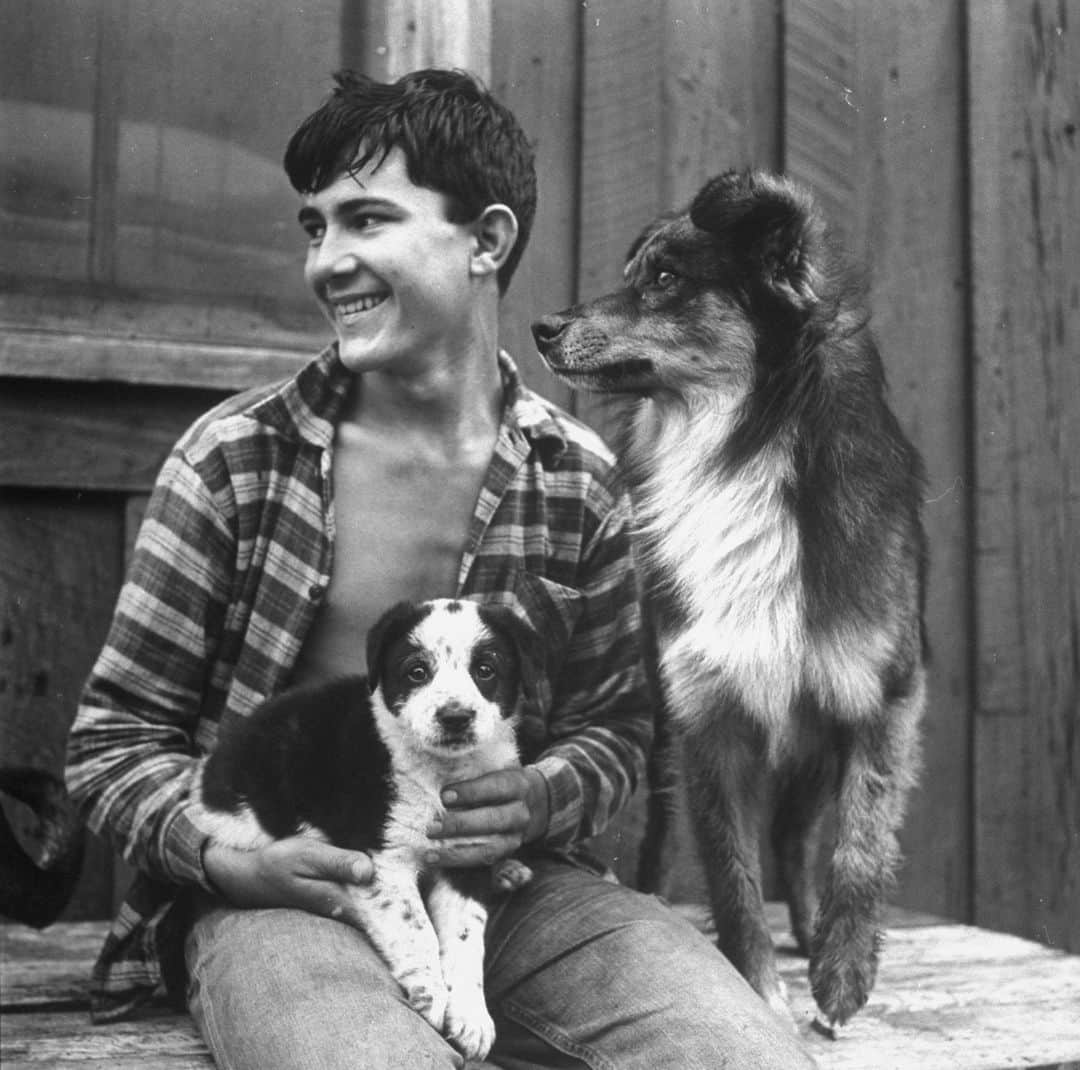 lifeさんのインスタグラム写真 - (lifeInstagram)「Louisiana boy sitting on the porch with his companions, 1949.   See more photos of precious pups from the LIFE archive by clicking the link in bio. 🐶  (📷 George Silk/LIFE Picture Collection)  #LIFEMagazine #LIFEArchive #wildLIFEwednesday #DogsofInstagram #GeorgeSilk #1940s #Louisiana #USA」10月19日 0時15分 - life