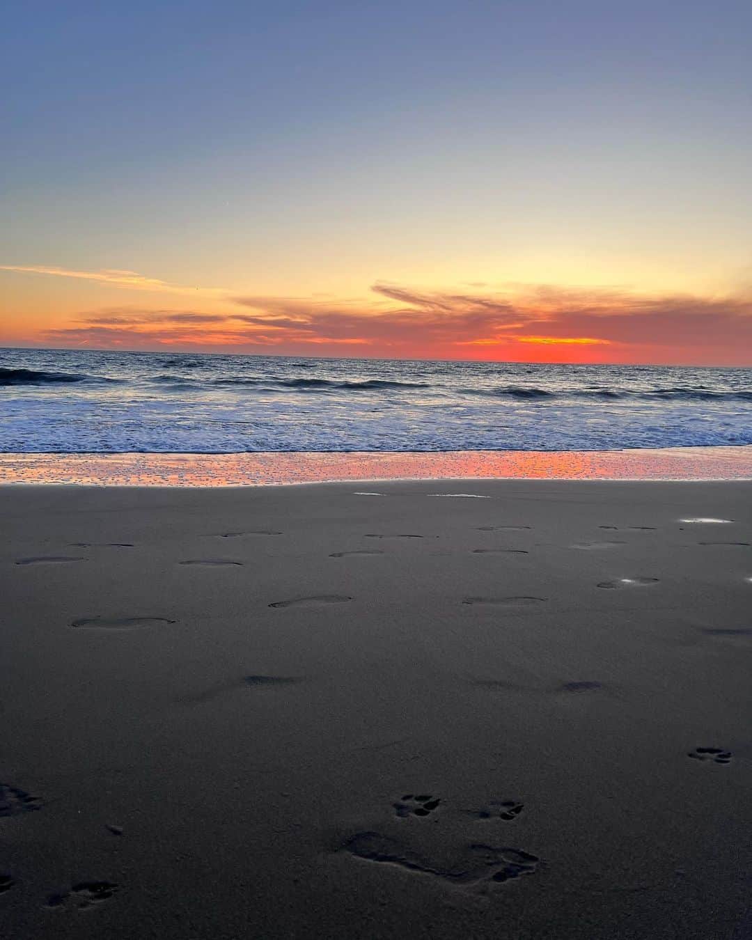 新希咲乃さんのインスタグラム写真 - (新希咲乃Instagram)「今まで見た中で1番大きい夕日だった🌅 どんどん色んな色に変わって感動したなぁ…  📍Venice Beach California  カモメの足跡かわいい🪿🩵   #sunset  #ベニスビーチ   #🇺🇸  #アメリカ旅行  #女子旅  #america」10月19日 0時24分 - niki_sakino