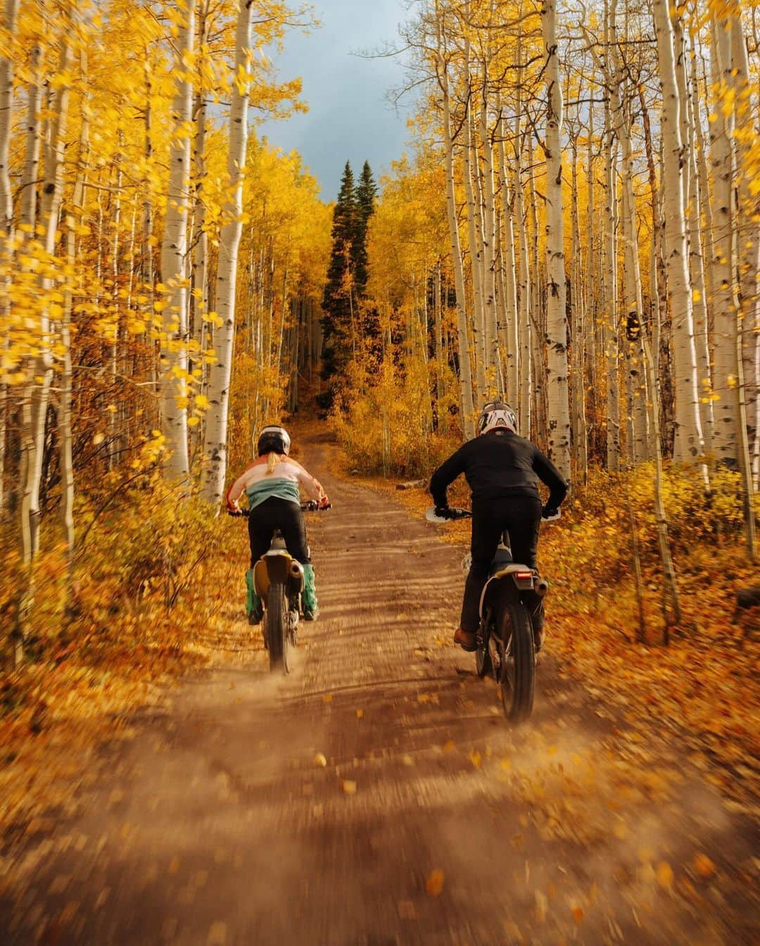 Alex Strohlさんのインスタグラム写真 - (Alex StrohlInstagram)「Made it back to the U.S just in time to see the leaves turn @sienavalleyclub. First time being inside giant Aspen groves, watching the sun rays peak through, and hearing the leaves rustle above my camera. Oh, and I also got to ride a moto through it all. One of the 2023 highlights for sure.」10月19日 0時41分 - alexstrohl