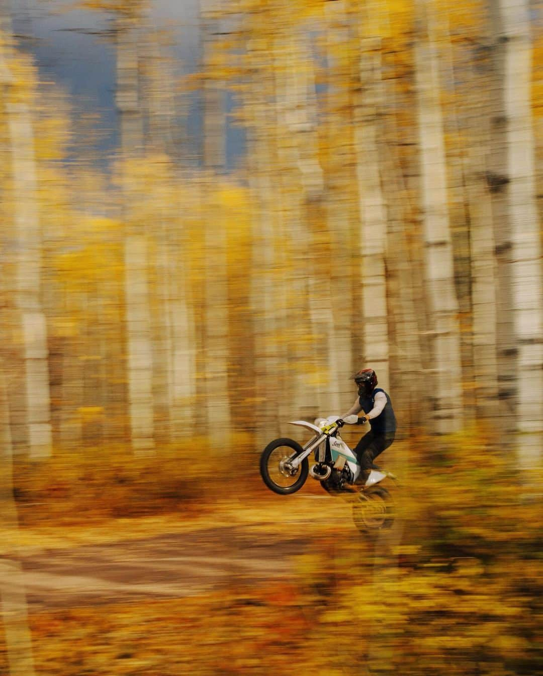 Alex Strohlのインスタグラム：「Made it back to the U.S just in time to see the leaves turn @sienavalleyclub. First time being inside giant Aspen groves, watching the sun rays peak through, and hearing the leaves rustle above my camera. Oh, and I also got to ride a moto through it all. One of the 2023 highlights for sure.」