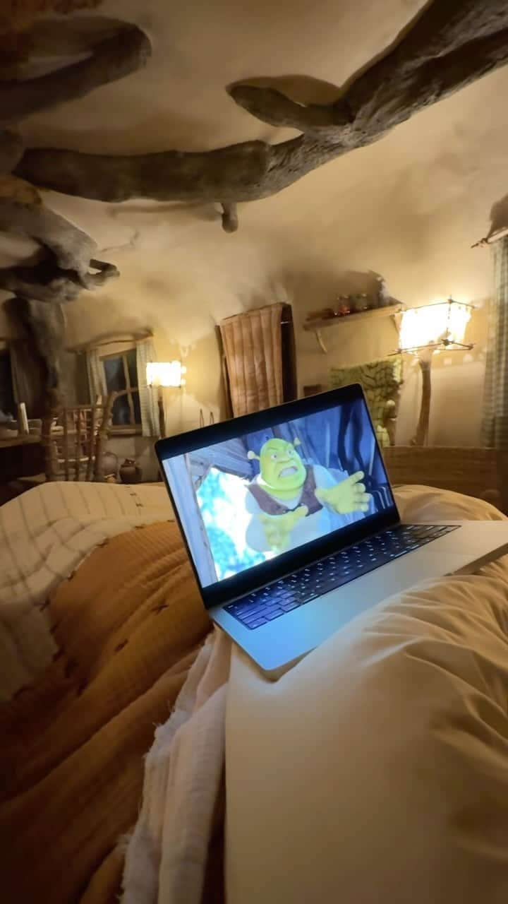 Bryant Eslavaのインスタグラム：「watching shrek in shrek’s room 🧌 @airbnb」