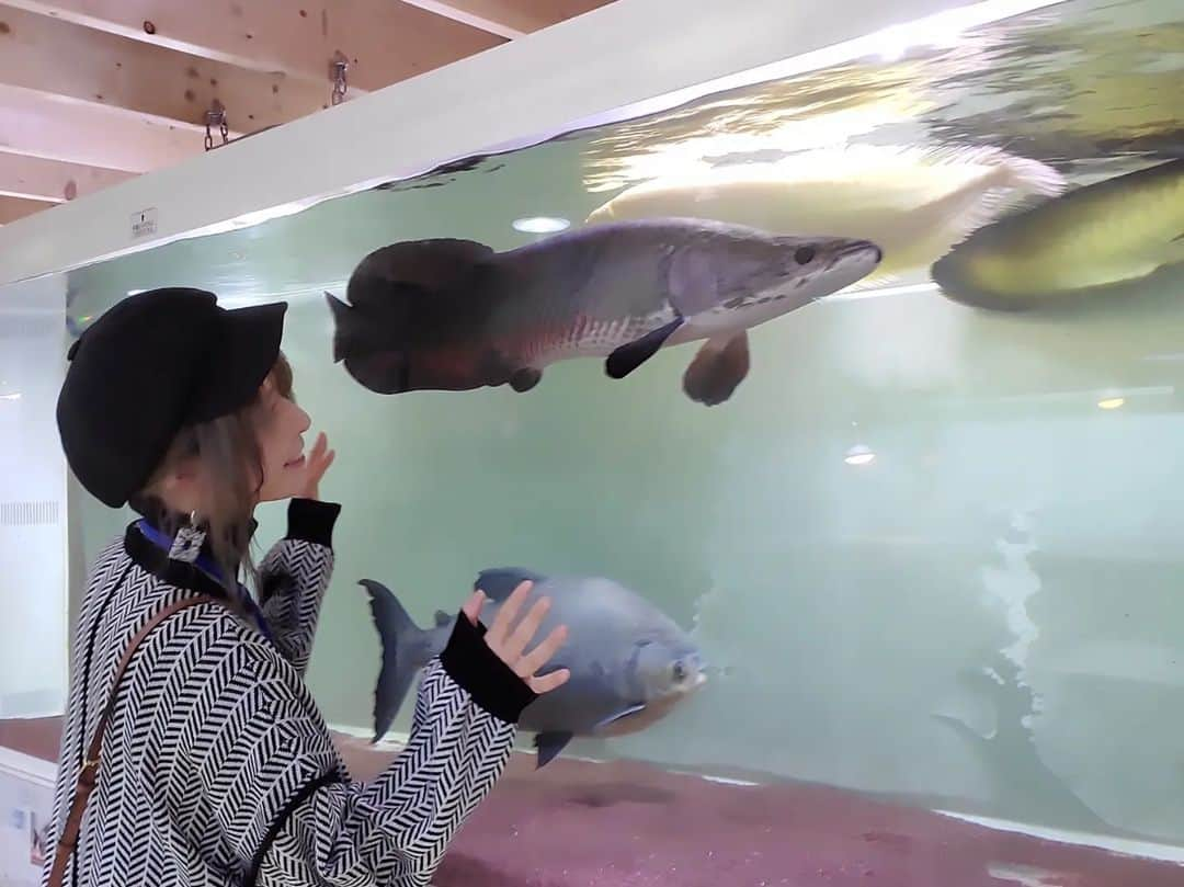 杉浦アヤカさんのインスタグラム写真 - (杉浦アヤカInstagram)「深谷爬虫類館いってきたよ🦎🐍🩷 爬虫類、生き物好きにはたまらない。 また、行きたいなぁー！！  #爬虫類 #深谷爬虫類館  #埼玉県 #深谷市 #蛇 #トカゲ #鰐  #爬虫類館」10月18日 17時08分 - sugiurayk