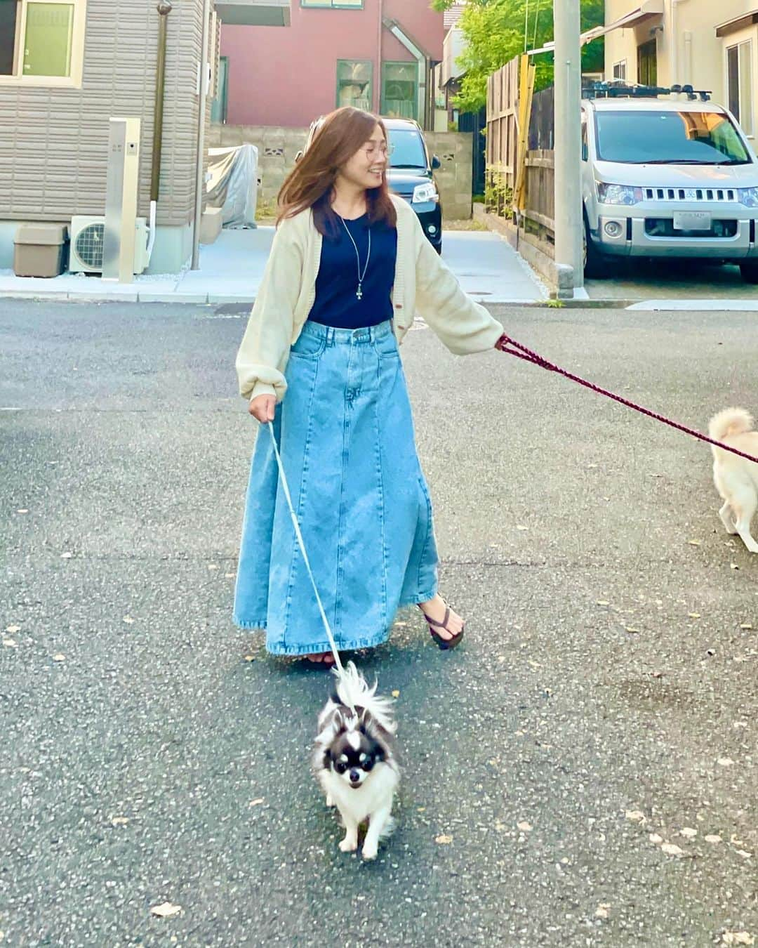 吉永愛さんのインスタグラム写真 - (吉永愛Instagram)「おつ〜🐕🐕  #散歩  #ゆきちゃん　#まるくん #柴犬 #白柴 #チワワ #dog #dogstagram #dogsofinstagram  #doglife #犬好き　#犬好きな人と繋がりたい #癒し #食いしん坊」10月18日 17時30分 - a.i.yy