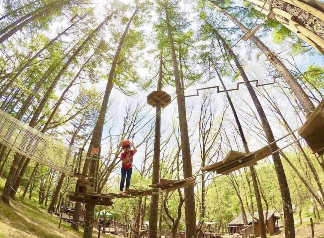 東急ホテルズのインスタグラム：「子どもも大人も全力で遊ぶ、大自然の中のアドベンチャー🌲 蓼科東急ホテル隣接の「フォレストアドベンチャー・蓼科」は、フランス発の自然共生型アウトドアパークです。 蓼科の森を全身で感じながら、樹上冒険を体験しませんか？ ‐‐‐‐‐‐‐‐‐‐‐‐‐‐ 蓼科東急ホテル 📍長野県/蓼科  最新情報や宿泊予約はホテル公式アカウントをご覧ください。 @tateshina_tokyu_hotel ‐‐‐‐‐‐‐‐‐‐‐‐‐‐‐ An adventure in the heart of nature for both kids and adults🌲  Adjacent to Tateshina Tokyu Hotel, 'Forest Adventure TATESHINA’ is a natural, French-inspired outdoor park.  Experience tree-top adventures while fully enjoying the beauty of the Tateshina forest! ‐‐‐‐‐‐‐‐‐‐‐‐‐‐ Tateshina Tokyu Hotel 📍Chino-shi, Nagano, Japan  Please refer to the official hotel account for the latest news, events, and reservation information. ‐‐‐‐‐‐‐‐‐‐‐‐‐‐」