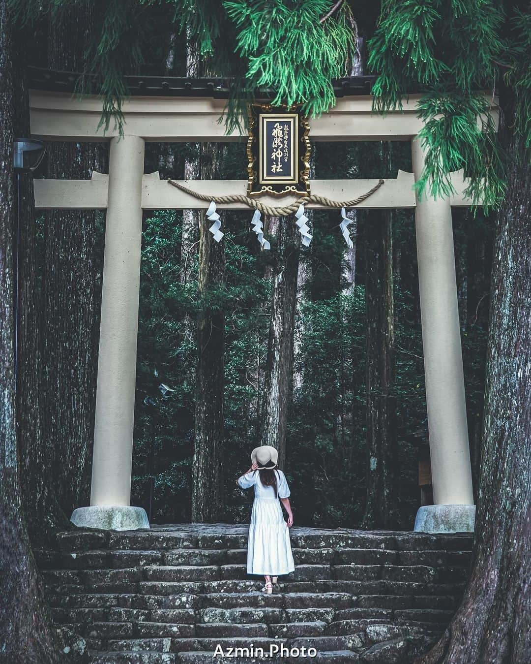 Visit Wakayamaのインスタグラム：「. The serene white torii gate of Hiro Shrine marks the entrance to the sacred Nachi Waterfall, deep in a cedar forest. 📸 @hasan_photography 📍 Hiro Shrine, Wakayama . . . . . #discoverjapan #unknownjapan #instajapan #landscape #japan #japantrip #japantravel #beautifuldestinations #wakayama #wakayamagram #explore #adventure #visitwakayama #travelsoon #visitjapan #travelgram #stayadventurous #igpassport #explorejapan #lonelyplanet #sustainabletourism #hiroshrine #chasingwaterfalls #traveldeeper #bucketlist #nachisan #kumano #nachifalls #pilgrimpaths #kumanokodo」