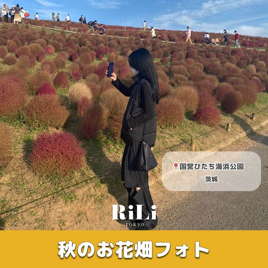 RiLiさんのインスタグラム写真 - (RiLiInstagram)「秋のお出かけにとってもオススメ🪄︎︎【秋のお花畑フォト】🧸📷´-  秋は紅葉もとっても綺麗だけど コキア、コスモス、ケイトウなど 見頃のお花もたくさん💐♡  友達や恋人とドライブ🚗がてら 少し遠くのお花畑に行くのがイチオシプランだよ🪄︎︎  秋コーデ👗✖️一面に広がるお花畑🌸の組み合わせは 写真映えも間違いなし✊  ぜひ秋のお出かけの参考にしてみてね♡  R i L i 編 集 部 🫧 Editor-chief @aosimmdr Editor @micomy_02 Writer @‌pink_breathing   🤍🤍🤍  Special thanks💐 Photo by⁣⁣ p.1 @_emeryou_  p.2 @__vaaaa  p.3 @makoko28_  p.4 @chanrio_53  p.5 @lattice_kouka  p.6 @__natu.cf  p.7 @moe___u   RiLiで紹介してもらいたい子は #rili_tokyo を付けてね❕  ⁣  #コキア #コキアパーク #コスモス畑 #秋桜畑  #お花畑コーデ #花畑コーデ #公園コーデ #秋コーデ #秋服コーデ #ドライブコーデ #ドライブデート #デートコーデ #マザー牧場 #キリン花園 #ひたち海浜公園 #カップルフォト #友達フォト #お花畑フォト #お洒落さんと繋がりたい #紅葉 #紅葉フォト」10月18日 18時00分 - rili.tokyo