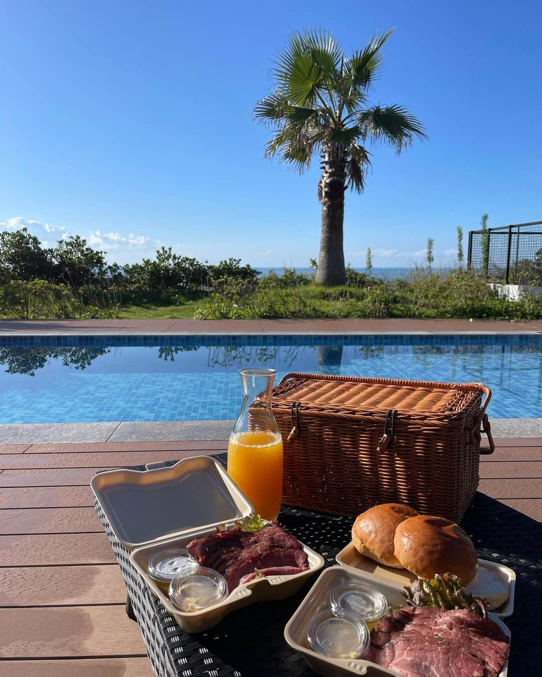 橘ひろなさんのインスタグラム写真 - (橘ひろなInstagram)「ずっと楽しみにしてた大家族旅行🏝️  24時間天然温泉に入れて、 海を目の前にBBQ🍖 ペットも一緒に行けて最高でした🐶！  首都圏から２時間のところにある 千葉の鴨川。鴨シーからもすぐでした🐬  プライベートプールもあって 千葉県産の食材を使ったBBQは どれも豪華で美味しすぎた…😭  @resort.glamping_com @villa_ransui  #家族旅行 #千葉旅行　#鴨川　#愛犬と泊まれる宿　#ペット可ホテル　#ヴィラ藍水#リゾグラ　#鴨川旅行　#千葉鴨川　#マルポメ #愛犬とお出かけ #愛犬と旅行」10月18日 18時03分 - hirona0523