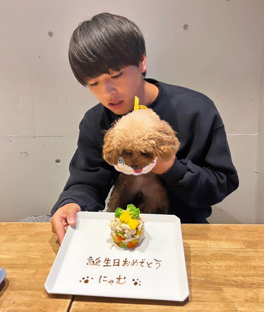 新井瑞樹さんのインスタグラム写真 - (新井瑞樹Instagram)「・ にゃむ2歳の誕生日おめでとう🎂 これからもすくすく育ってね🐻」10月18日 18時16分 - mizuki10_official