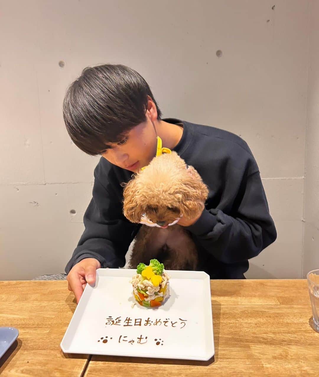 新井瑞樹さんのインスタグラム写真 - (新井瑞樹Instagram)「・ にゃむ2歳の誕生日おめでとう🎂 これからもすくすく育ってね🐻」10月18日 18時16分 - mizuki10_official
