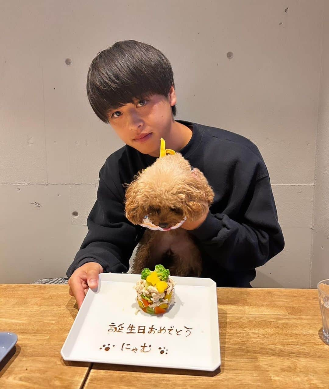 新井瑞樹のインスタグラム：「・ にゃむ2歳の誕生日おめでとう🎂 これからもすくすく育ってね🐻」