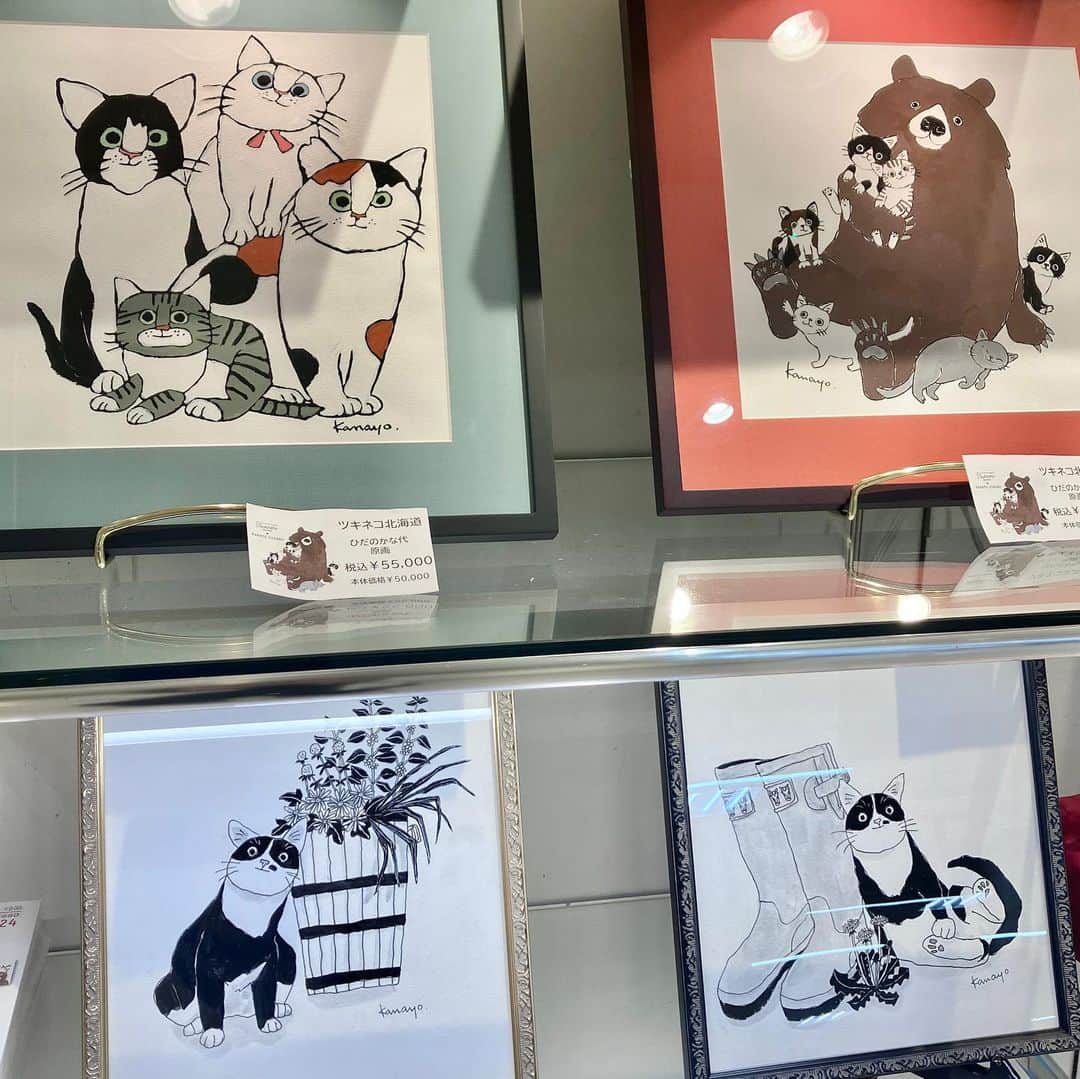 daimarusapporoさんのインスタグラム写真 - (daimarusapporoInstagram)「北海道の保護猫たちの力に🐈 7階 エスカレーター前に、保護猫活動の団体〈#ツキネコ北海道〉が登場。  行き場のなくなった猫たちに新しい家族を見つける活動をしている〈ツキネコ北海道〉。  実際に保護猫を飼っている作家がデザインしたバッグやアート、保護猫が登場するカレンダー、猫を愛する方々が手がけたコラボフードなど…… 種類豊富な猫グッズがずらりと並びます😌  グッズの売上の一部は保護活動にあてられるそうです。  さらに会場には、お迎えを待っている保護猫たちの紹介コーナーも(1枚目)🐈 猫たちをお迎えいただいた方にイラスト作品を記念にプレゼントするイベントも実施中です🎨  ※お迎えをご希望の方は〈ツキネコ北海道〉店頭スタッフへお問い合わせください。  猫好きのみなさまはもちろん、保護猫活動に興味がある方にも新しい発見と出会いがあるはずです🐱  ぜひ店頭でご覧ください！  ※10/24(火)まで  #大丸札幌 #保護猫 #保護猫カフェ #保護猫と暮らす #猫のいる暮らし #猫グッズ #猫好き #札幌猫 #イラストレーター」10月18日 18時16分 - daimarusapporo