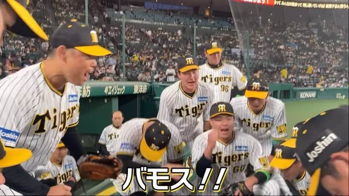 阪神タイガースのインスタグラム