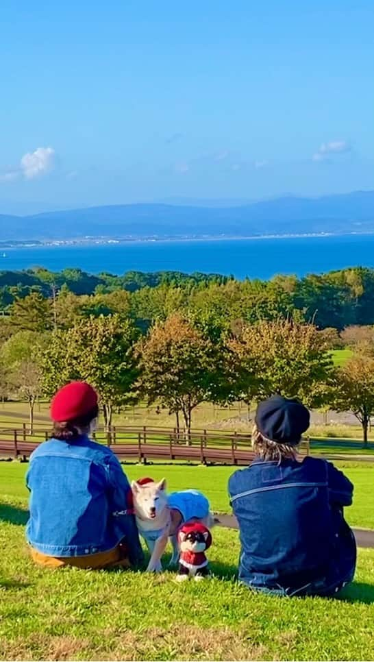 柴犬 けんしろう ゆりあのインスタグラム：「🌊🐶🐶  高速に乗って次の目的地へ行く途中 眺望が最高のSAで休憩☕️✨  直径約50kmの噴火湾🌊 円を描きながら長く長く続く海岸線を 家族でのんびり眺めました☺️  はずが、ゆりあさんが正面向いちゃったので けんちゃんにも正面向いてもらいました(笑)  #噴火湾パノラマパーク #八雲町 #北海道旅行」