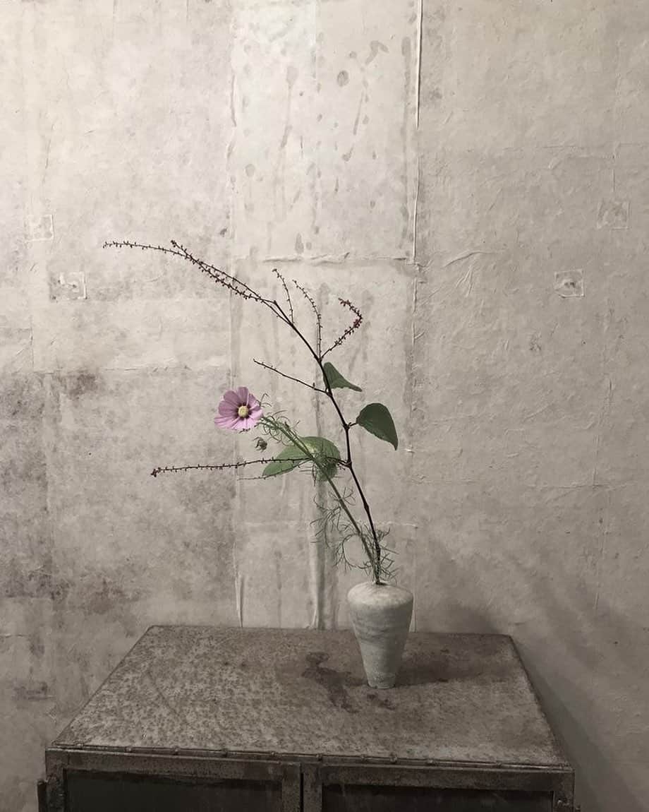 のインスタグラム：「アーカイブ投稿」