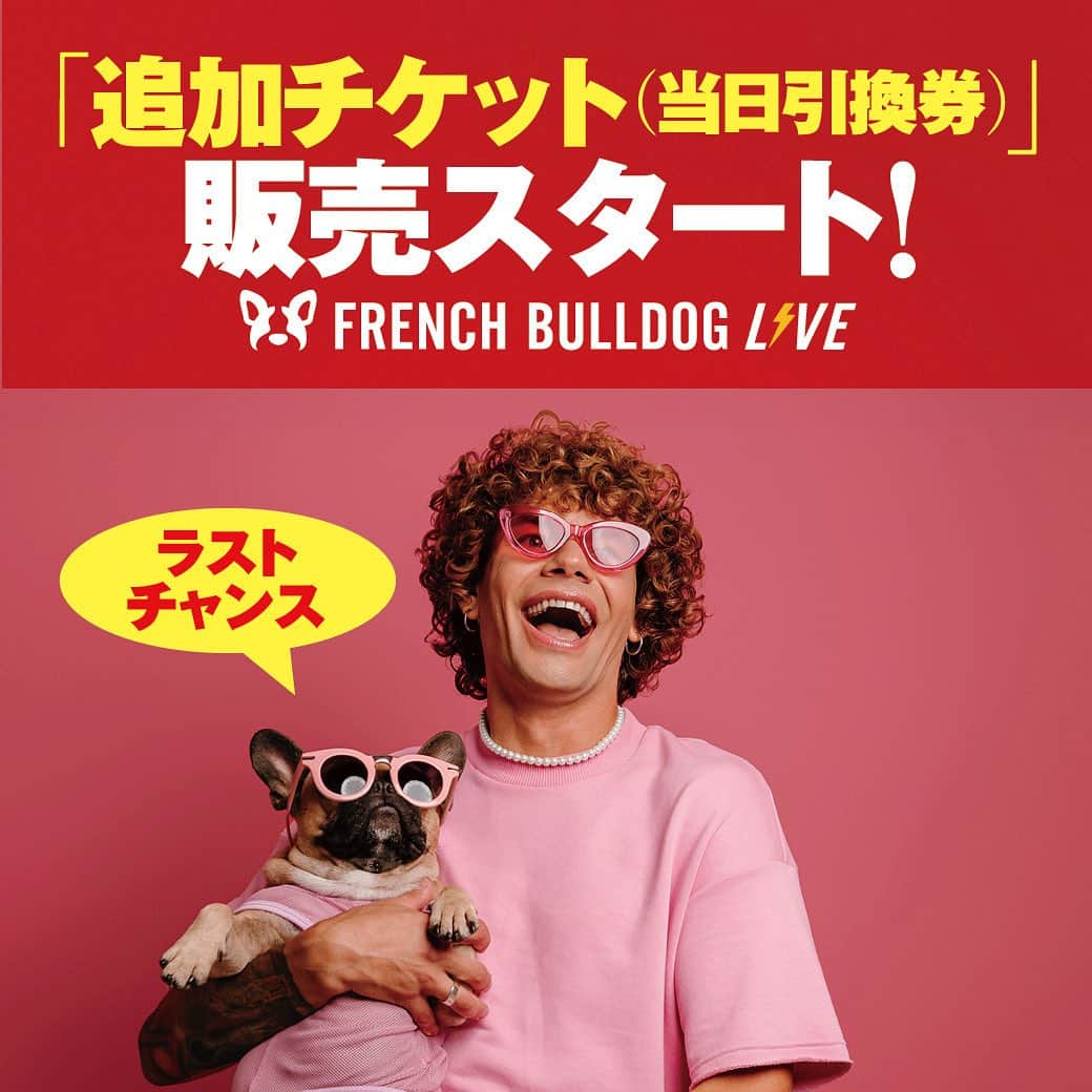French Bulldog Lifeのインスタグラム：「【ラストチャンス！】フレブルLIVE「追加チケット（当日引換券）」販売スタート！  いよいよ来週の土日は「フレブルLIVE」⚡️  皆さまのおかげで、5,000枚を突破しました！  前売りチケットの販売を終了したものの、今年もたくさん来ましたリクエスト。  「購入するのを忘れてしまいました…」 「もう間に合わないのでしょうか…」  というわけで、今年も「追加チケット（当日引換券）」を販売します！  これが本当のラストチャンスです…！  詳しくは「フレブルライフ」をご覧ください🐕 プロフィールまたはストーリーズからどうぞ @french.bulldog.life  ★すでにご購入された方々へ 前売りチケットをお買い求め頂き、誠にありがとうございます！  紙チケットの発送は、無事「完了」しております！  まもなくお手元に届きますので、どうか楽しみお待ちくださいませ。  当日お会いできますことを、胸を躍らせて待ち侘びています♡  フレブルライフ編集部一同より」