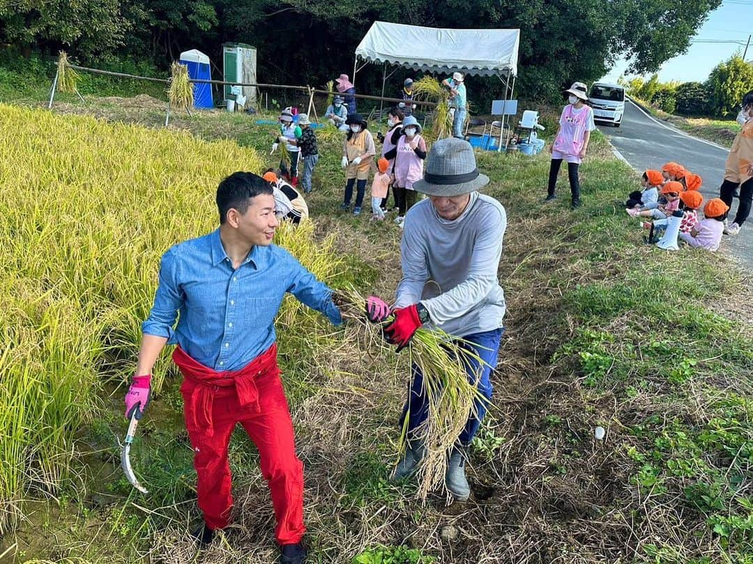 山本左近さんのインスタグラム写真 - (山本左近Instagram)「豊橋市にある 障害福祉サービス事業所が中心となって 自然栽培でお米づくりを行っています🌾  自然栽培とは無農薬、無肥料、無除草剤で、 植物や土の本来持つ力を引き出す農法のこと。  秋晴れの中、たわわに実ってくれた稲を、 高齢者の方や保育園児たちみんなで刈りとりました。  最初は、「農薬や肥料なしじゃできない」 「すぐ土がダメになって育たなくなるよ」 と言われながら始めた稲作は、 早いものでもう7年目。  昨年の稲刈りは参加できなかったのですが、 皆さんのお力を借り今も続けられています。  毎年どれだけできるかは 天気などの影響も大きいのですが、 みんなで手作業でもできるという形で 2反はちょうどいい大きさなのかもしれません。  田植えや手入れ、稲刈りなど実際にやってみると、 当たり前のようにお米をいただける有り難さを 改めて強く感じます。  それは日々農業に 従事してくださっている方々だけでなく、 これまでの基礎を築いてきてくれた祖先や、 作ること以外に携わる物流関係、 はたまた河川の整備、 田んぼや道路を作ってくれた方など、 数えきれないほど多くの皆さんの関わりによって 今日のご飯が食べられるのです。  「箸とらば、天地御代（あめつちみよ）の御恵み（おんめぐみ）、祖先や親の恩を忘れじ」  幼少期、父と一緒にこう呟いた後、 「いただきます」と 食事を始めていた光景が思い出されます。  大人になり改めてこの言葉の意味を噛み締めています。  食料自給率の低さなど 農政を巡る課題は多くありますが、 それでも、飽食やフードロスなどが散見される 現代の恵まれた環境に生きる我々だからこそ、 改めて日々の食事を通じて、 皆さんに感謝し、ご飯を頂きたいと思います。  今日も有り難く、「いただきます」🙏  #愛知県豊橋市 #豊橋市 #稲刈り #障害福祉サービス  #衆議院議員 #山本左近」10月18日 19時12分 - sakon_yamamoto