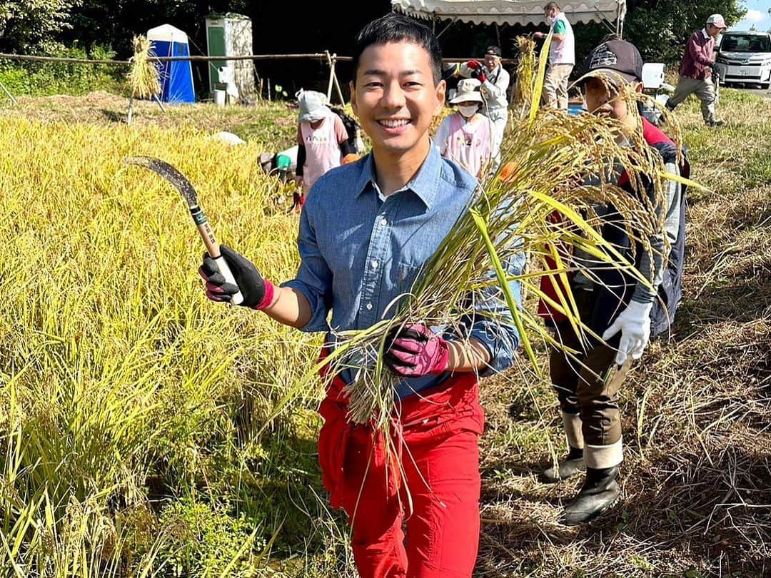 山本左近さんのインスタグラム写真 - (山本左近Instagram)「豊橋市にある 障害福祉サービス事業所が中心となって 自然栽培でお米づくりを行っています🌾  自然栽培とは無農薬、無肥料、無除草剤で、 植物や土の本来持つ力を引き出す農法のこと。  秋晴れの中、たわわに実ってくれた稲を、 高齢者の方や保育園児たちみんなで刈りとりました。  最初は、「農薬や肥料なしじゃできない」 「すぐ土がダメになって育たなくなるよ」 と言われながら始めた稲作は、 早いものでもう7年目。  昨年の稲刈りは参加できなかったのですが、 皆さんのお力を借り今も続けられています。  毎年どれだけできるかは 天気などの影響も大きいのですが、 みんなで手作業でもできるという形で 2反はちょうどいい大きさなのかもしれません。  田植えや手入れ、稲刈りなど実際にやってみると、 当たり前のようにお米をいただける有り難さを 改めて強く感じます。  それは日々農業に 従事してくださっている方々だけでなく、 これまでの基礎を築いてきてくれた祖先や、 作ること以外に携わる物流関係、 はたまた河川の整備、 田んぼや道路を作ってくれた方など、 数えきれないほど多くの皆さんの関わりによって 今日のご飯が食べられるのです。  「箸とらば、天地御代（あめつちみよ）の御恵み（おんめぐみ）、祖先や親の恩を忘れじ」  幼少期、父と一緒にこう呟いた後、 「いただきます」と 食事を始めていた光景が思い出されます。  大人になり改めてこの言葉の意味を噛み締めています。  食料自給率の低さなど 農政を巡る課題は多くありますが、 それでも、飽食やフードロスなどが散見される 現代の恵まれた環境に生きる我々だからこそ、 改めて日々の食事を通じて、 皆さんに感謝し、ご飯を頂きたいと思います。  今日も有り難く、「いただきます」🙏  #愛知県豊橋市 #豊橋市 #稲刈り #障害福祉サービス  #衆議院議員 #山本左近」10月18日 19時12分 - sakon_yamamoto