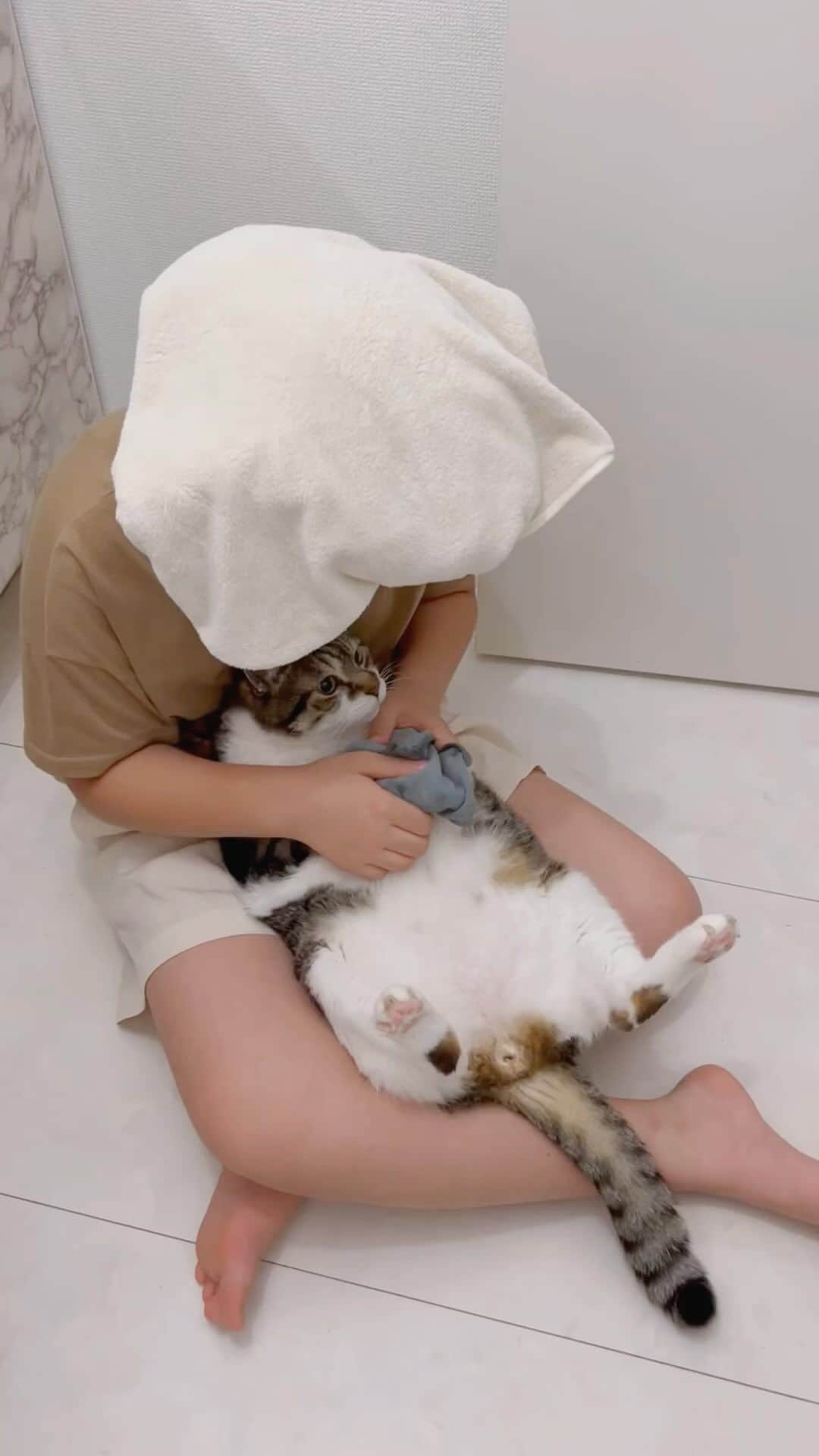 korokoronyaのインスタグラム：「❁*∗ Oct 18 ,2023  MameChibimame🐱→🚰💦👧🏻 #pastvideo * お久しぶりでございます。 気がつけばもう10月も後半になる… みなさんお元気ですか👋 そもそも見てる人おるのかな…😅w  動画は 洗面所でお水飲んで ビショビショになったお手手あんよを 拭いてもらってるマメじぃ🐱🚰💦👧🏻 * #まめとちびまめ #うごくまめとちびまめ」