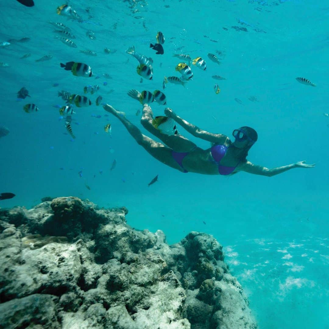 Sophie Wilsonさんのインスタグラム写真 - (Sophie WilsonInstagram)「Campaign in Tahiti back in may 🐠 @eidonlife @markomcinnis  LOTS more to come!❤️‍🔥」10月18日 19時52分 - sophh.wilson