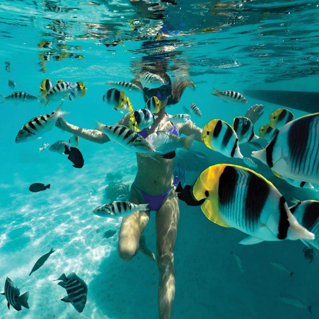 Sophie Wilsonのインスタグラム：「Campaign in Tahiti back in may 🐠 @eidonlife @markomcinnis  LOTS more to come!❤️‍🔥」