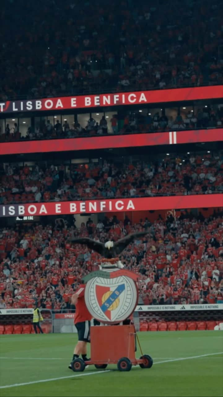 エミレーツ航空のインスタグラム：「Reminding 65,000 football fans that we fly to the four corners of the world in a memorable way. ✅」