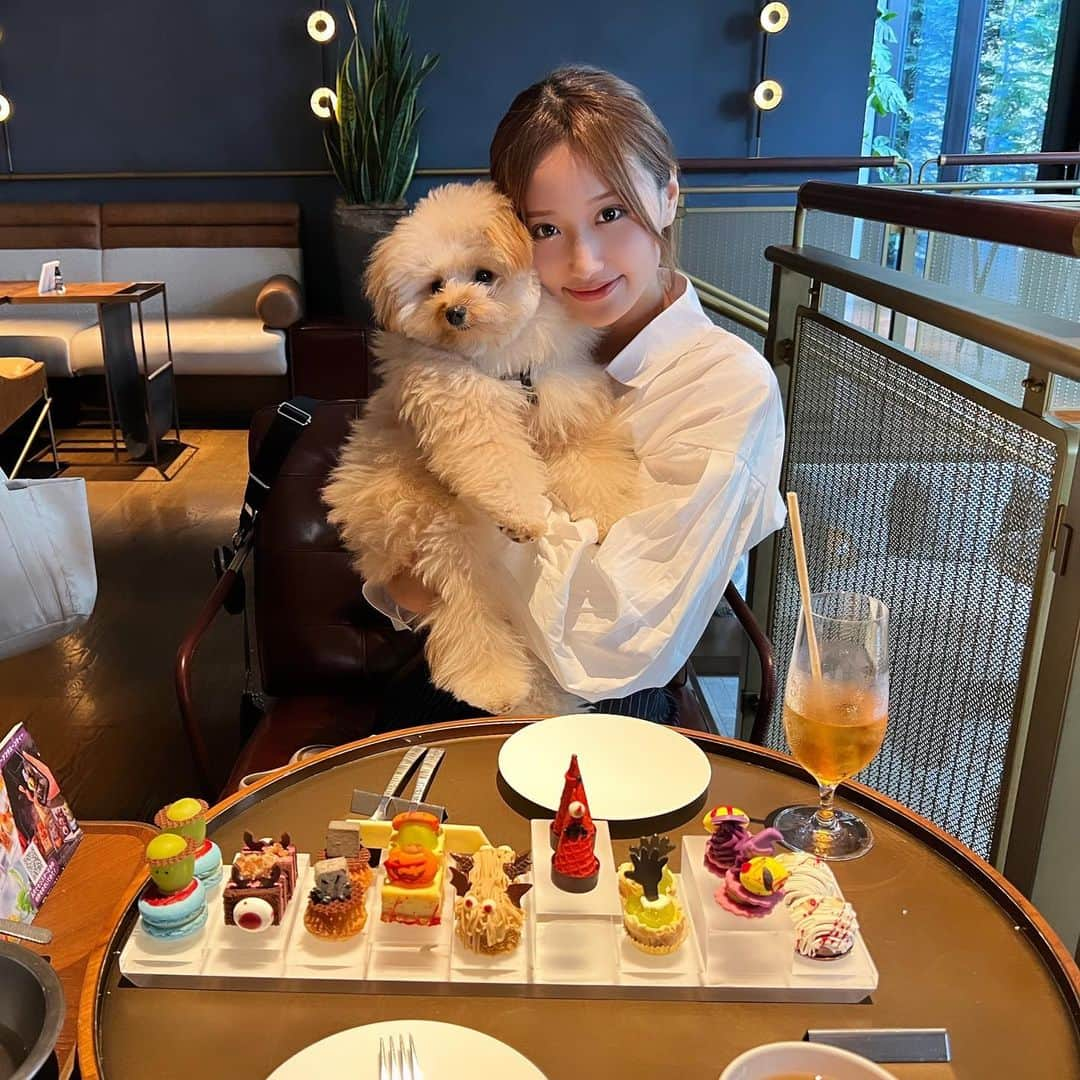 ELENAさんのインスタグラム写真 - (ELENAInstagram)「. パピコと🐶📷 . あおいのイヌとエレナのイヌ誕生日近いから犬会ということだったのにまさかのエレナを祝ってくれるという🤣🤣 ありがとう😌🫶 . #ポメプー #キンプトン」10月18日 20時02分 - elenya_chan