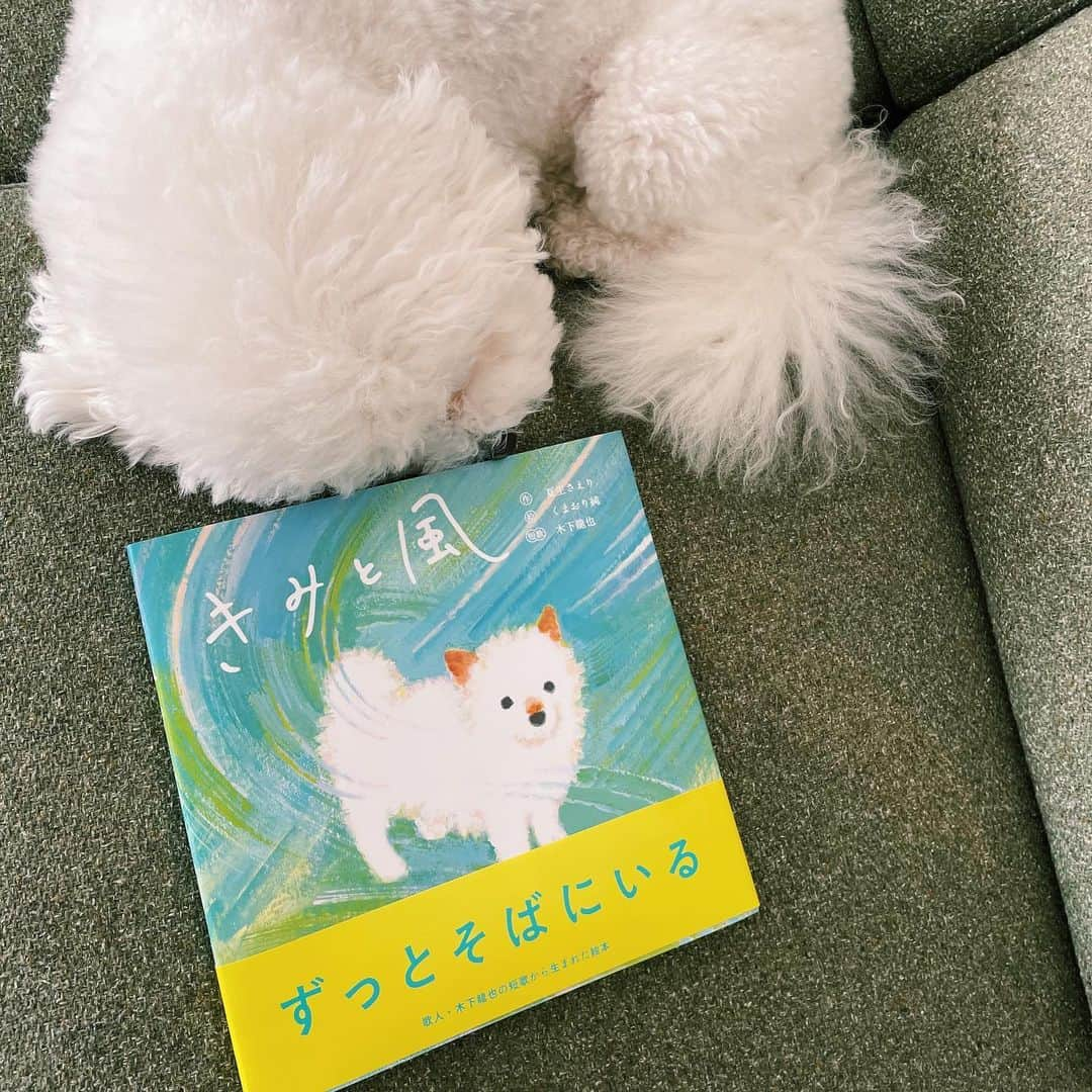 さえりさんのインスタグラム写真 - (さえりInstagram)「絵本「きみと風」、本日発売です😭 絵本デビューで、本当に嬉しい。絵本だけれど、子供向けというわけではないので、大人にこそ読んで欲しいし、犬を飼う人の本だけど、ちいさな家族🐈🦜🐇がいる人たちにはきっと届くはず、と信じています。  自分よりも早く命を駆け抜けてしまう家族を、ずっと愛していこうと思える内容になっているので、ぜひ手に取ってほしい。。  本は、本当に反響が見づらくて孤独な仕事でもあるので、ぜひお手元に届いた方、読んだ方、見かけた方は、教えてください。励みにします🤝  風に抗うおつきを添えて🫰🦑」10月18日 20時35分 - n908sa